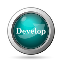 Develop icon