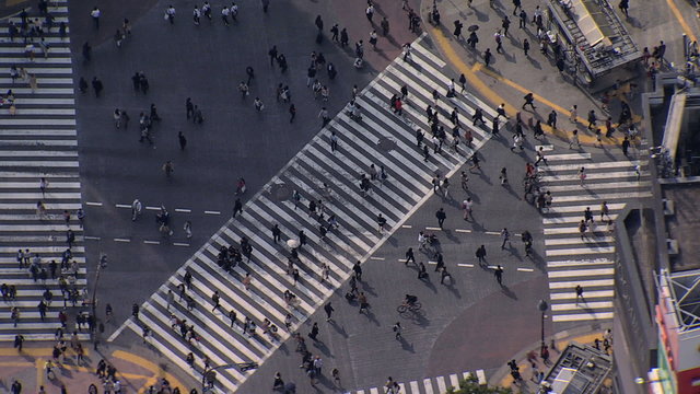 Aerial people Shibuya scramble crossing intersection Tokyo 