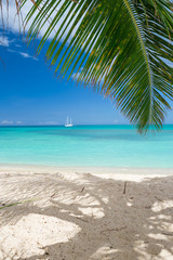 Plakat Tropical white sand beach