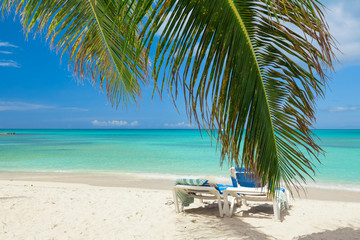Plakat Tropical white sand beach