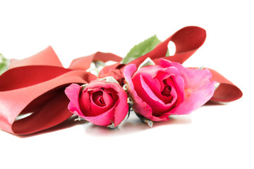 Red roses and red ribbons isolated on white background.