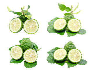 Bergamot and kaffir lime leaves on white background