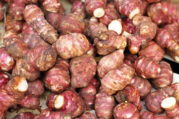 Jerusalem artichoke