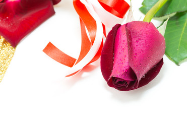 red rose on white background, Valentines Day background
