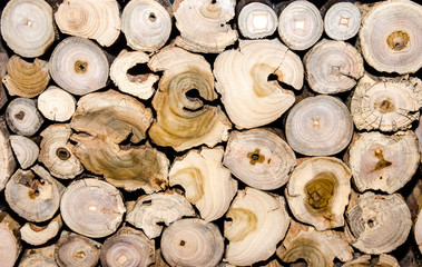Holz: Brennholz, Holzstapel, Recycling für Möbel :)