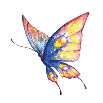 butterfly423