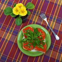 Sandwich with caviar and parsley squash, on a wooden boards back