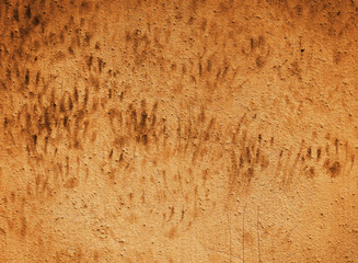 Grunge Background Wallpaper Texture Concrete Concept