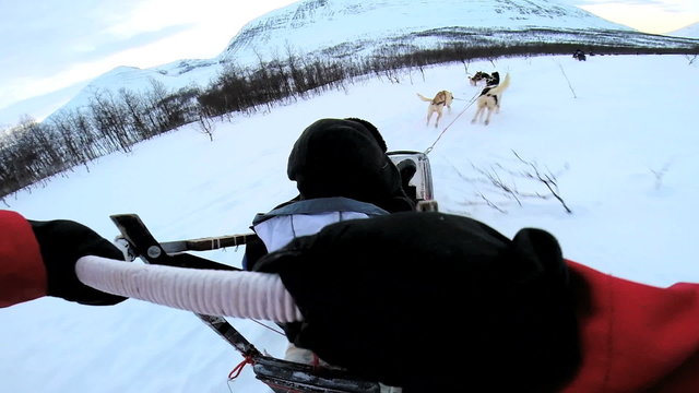 POV dogsledding animal team working winter tourist transportation Norway