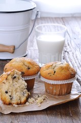 Muffins.