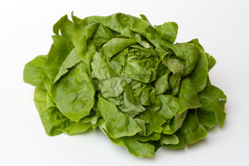 salade laitue