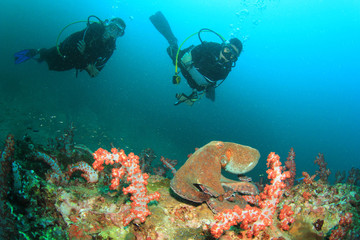 Naklejka na ściany i meble Octopus and scuba divers
