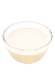 bowl of evaporated milk isolated