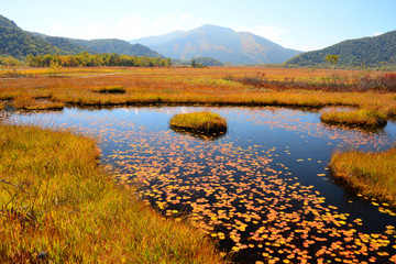 秋の尾瀬ヶ原