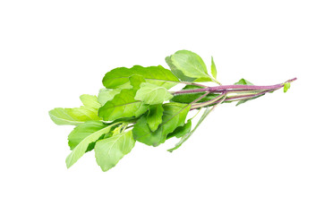 Bergamot and kaffir lime leaves on white background