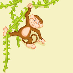 Cute smiling monkey hanging from a vine of tree.