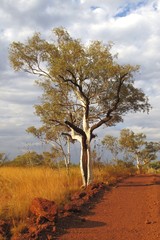 Karijini National Park, Western Australia