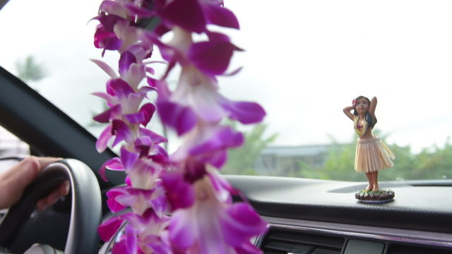 Driving car on Hawaii travel - Hula doll