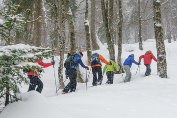 Schneeschuh-Tour im Winterwald