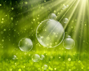 Soap bubbles on a nature background