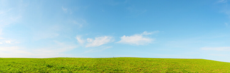 Collina panoramica con prato verde e cielo azzurro - Terra - obrazy, fototapety, plakaty