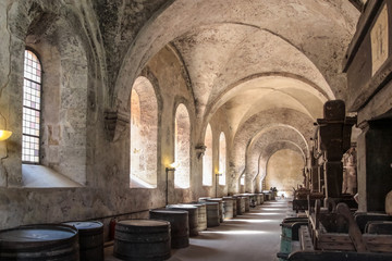 Altes Gewölbe auf einem Weingut