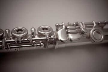 flute