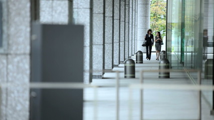Ethnic Asian Japanese Businesswomen Meeting City Downtown 