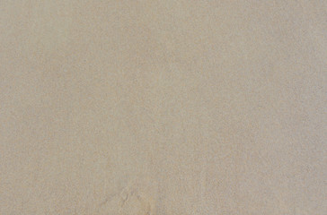 Fototapeta na wymiar Wet sand. Beige texture. Can be used as background