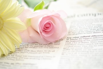 ガーベラとバラ