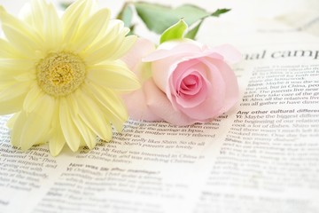 ガーベラとバラ