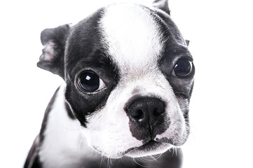 With this look you cant resist me