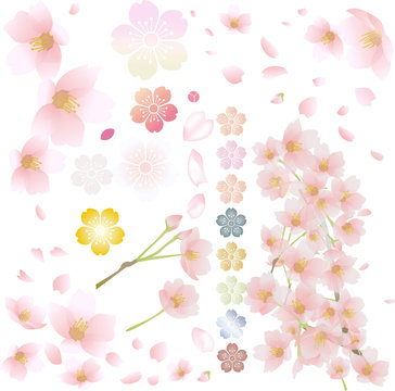 桜素材詰め合わせ　セット