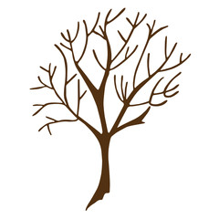 Tree illustration