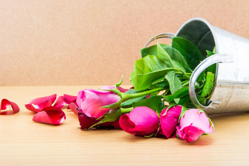 rose in aluminum pots on brown background,valentine day