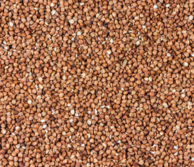 Buckwheat  background