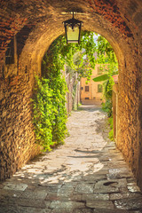 Stara uliczka w zieleni, średniowieczne toskańskie miasto - obrazy, fototapety, plakaty