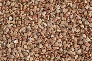 Buckwheat grain background