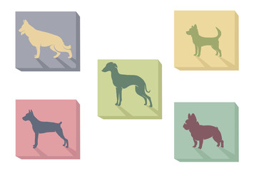 Icon of dogs