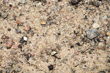sand