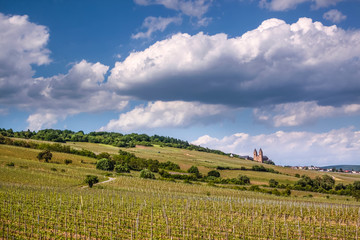Fototapeta premium Abtei St. Hildegard (Rüdesheim am Rhein)