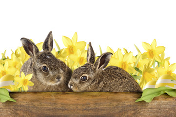 Frohe Ostern