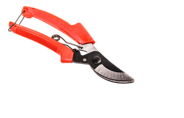 pruning shears