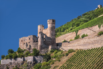 Fototapeta premium Ruine Ehrenfels