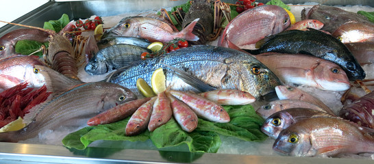 great white sea bream many saltwater fish fresh