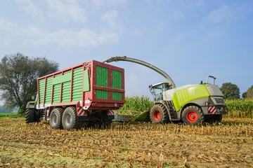 Maisernte,Maishäcksler in Aktion von der Seite,