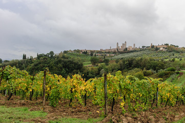 Fototapeta na wymiar San Giminiano, panorama 2