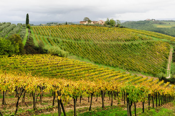 Fototapeta na wymiar Colline toscane 7