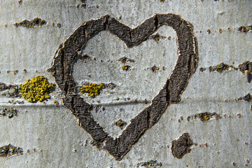 Heart engraving a Tree