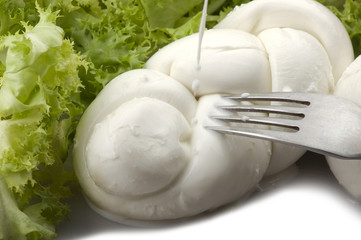 Mozzarella tomatoes and fresh salad on the white